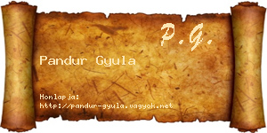 Pandur Gyula névjegykártya